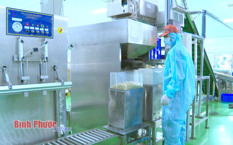 “Hoa và gai” trên lối đi mới - Bài 1