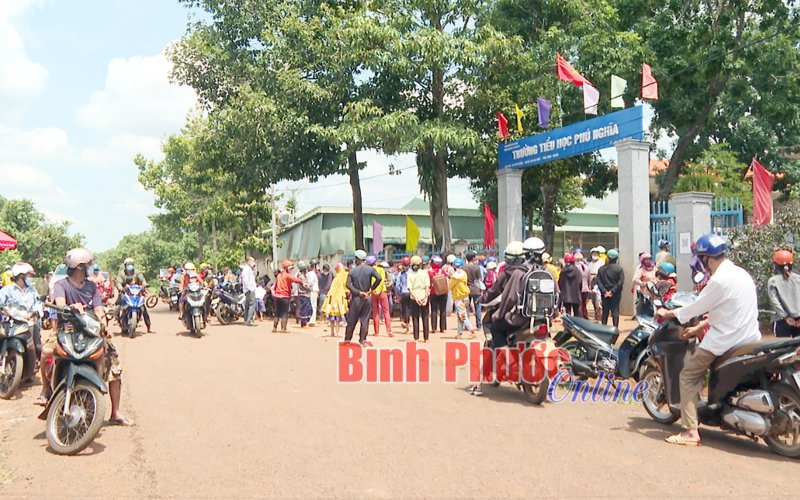 Không có tình trạng mất an toàn giao thông tại cổng Trường tiểu học Phú Nghĩa