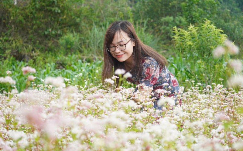 Ngỡ ngàng ngắm hoa Tam giác mạch trái mùa tại Hà Giang
