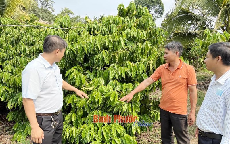 Thu nhập hàng tỷ đồng từ đa canh