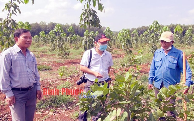 Tiếp sức cho lao động dân tộc thiểu số