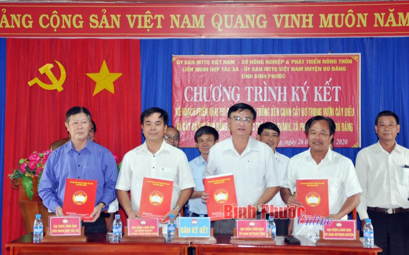 Tín hiệu vui từ dự án hỗ trợ đồng bào dân tộc thiểu số