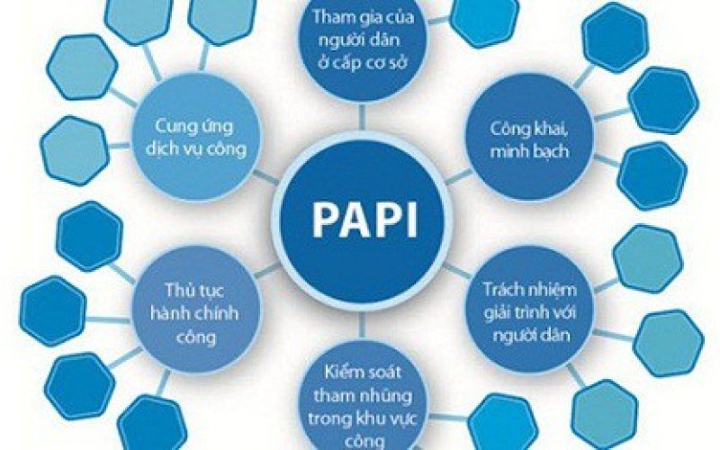 Vì dân phục vụ, nhìn từ chỉ số PAPI
