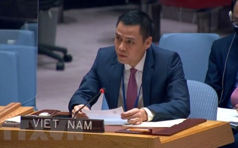 Việt Nam sẽ tham gia sâu hơn nữa vào nhiều lĩnh vực tại Liên hợp quốc