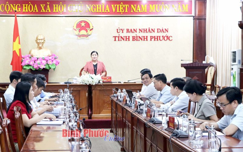 Bảo đảm thông tin phục vụ công tác chỉ đạo, điều hành của Chính phủ
