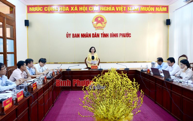 Bình Phước: Hội chợ trái cây và hàng nông sản tỉnh lần thứ VI quy mô 300 gian hàng