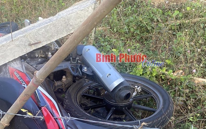 Bình Phước: Phát hiện nam thanh niên tử vong bên hàng rào thép gai