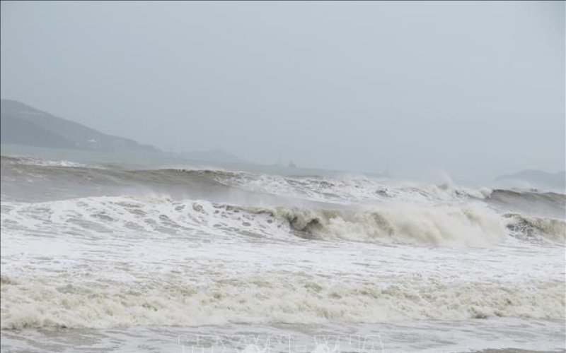 Chủ động ứng phó với diễn biến của áp thấp nhiệt đới