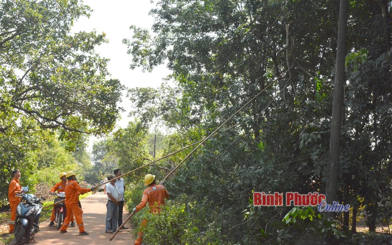 Đảm bảo an toàn lưới điện trước mùa mưa