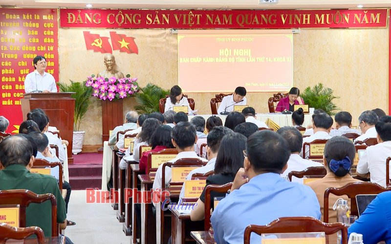 Xem xét các dự thảo, nghị quyết cho phát triển kinh tế tỉnh