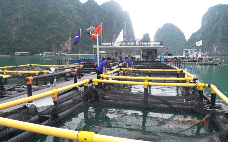 Hướng phát triển của những mô hình nông nghiệp kết hợp du lịch