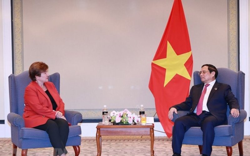 IMF: Việt Nam là ngôi sao sáng trên bầu trời kinh tế thế giới