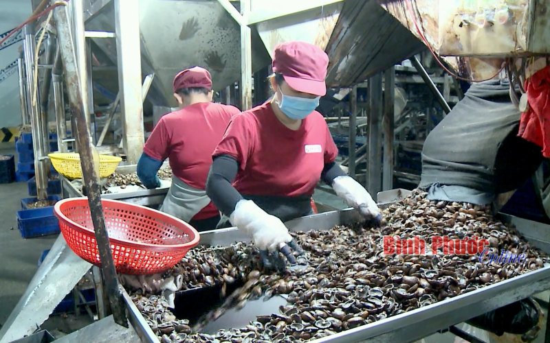 Kinh tế tuần hoàn - giải pháp phát triển bền vững