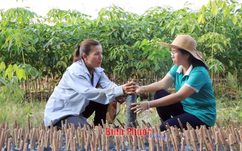 Nông dân thời hội nhập