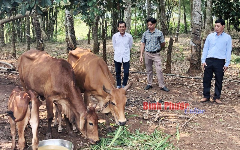 Ðổi thay ở xã An toàn khu