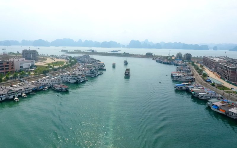 Phát triển dịch vụ cảng biển ở Hạ Long