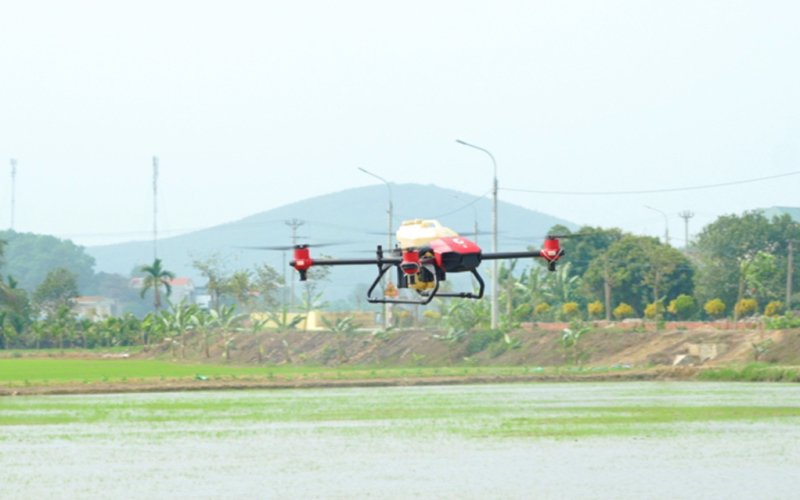 Phát triển nông nghiệp xanh