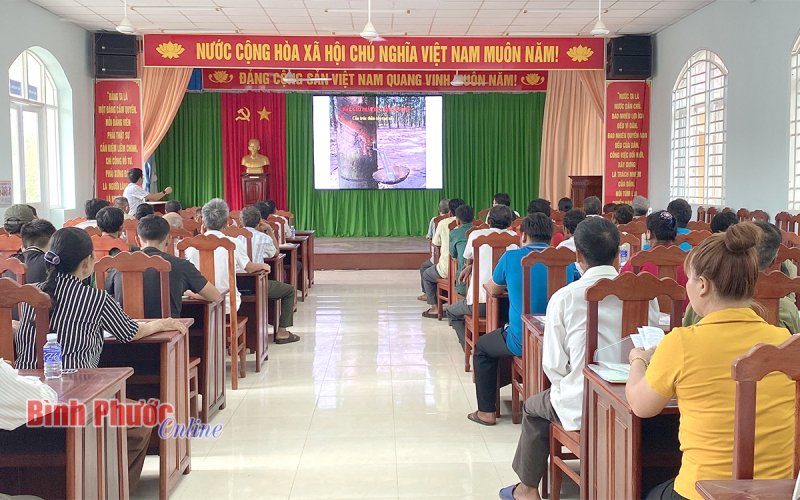 Phú Riềng: 80 nông hộ được tập huấn sản xuất cao su tiểu điền bền vững