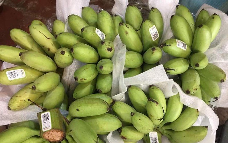 Quản lý cấp mã số vùng trồng