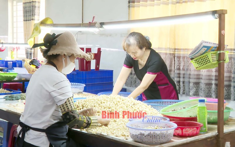 Tạo sinh kế cho người cao tuổi