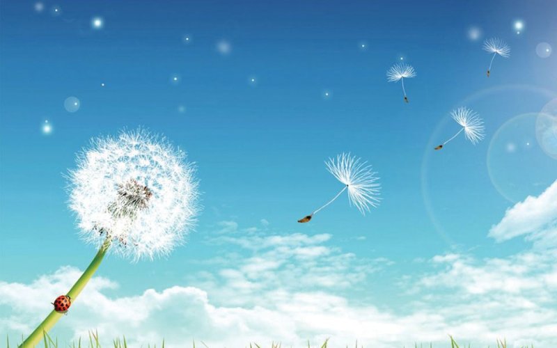  “Ước mơ tỏa sáng đời thường”