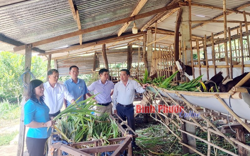 Vận dụng Nghị quyết Đại hội XIII của Đảng trong phát triển kinh tế tuần hoàn tại Bình Phước: Mô hình và điểm sáng