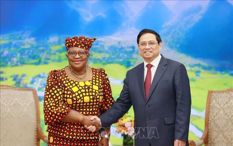 Việt Nam nằm trong nhóm 20 nền kinh tế hàng đầu về thương mại quốc tế