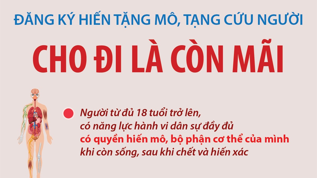 Đăng ký hiến tặng mô, tạng cứu người: Cho đi là còn mãi
