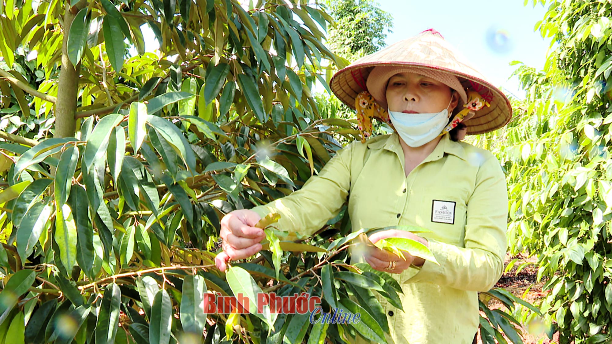 Đồng hành với phụ nữ khó khăn