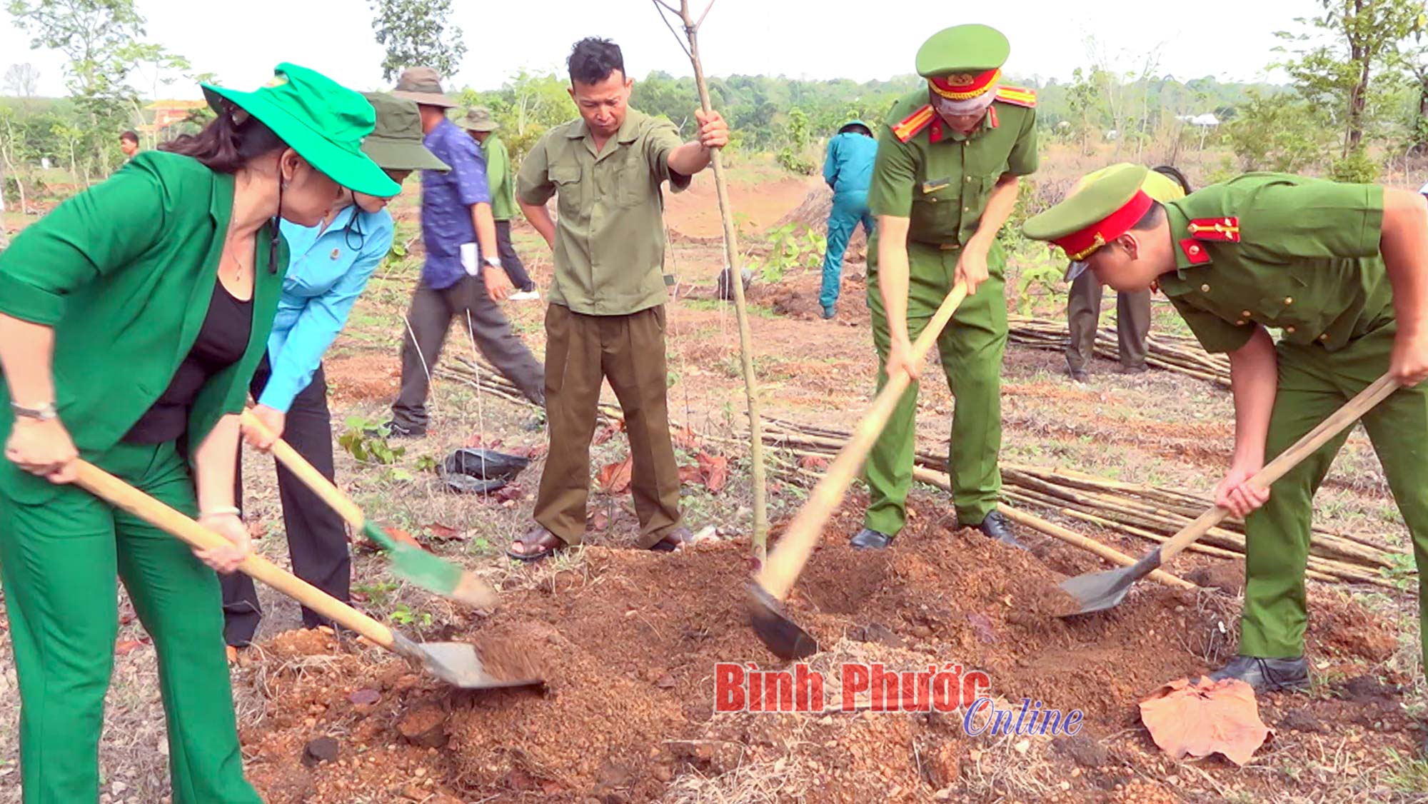 Lộc Ninh: Trồng cây “Đời đời nhớ ơn Bác Hồ” năm 2024