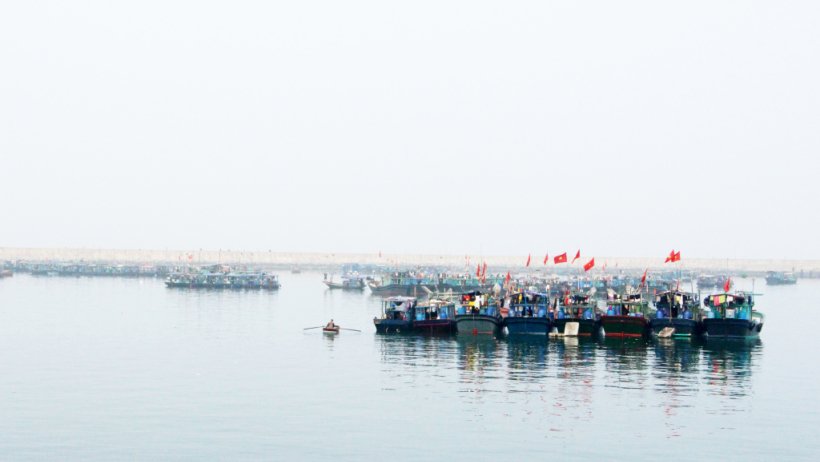 Quảng Ninh: Phấn đấu trở thành trung tâm nuôi biển của miền Bắc