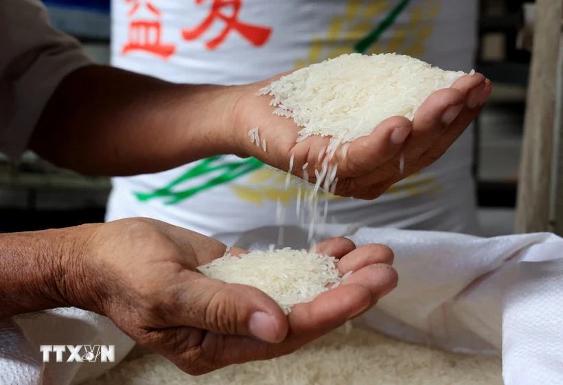 Thị trường nông sản: Giá gạo xuất khẩu tiếp tục tăng