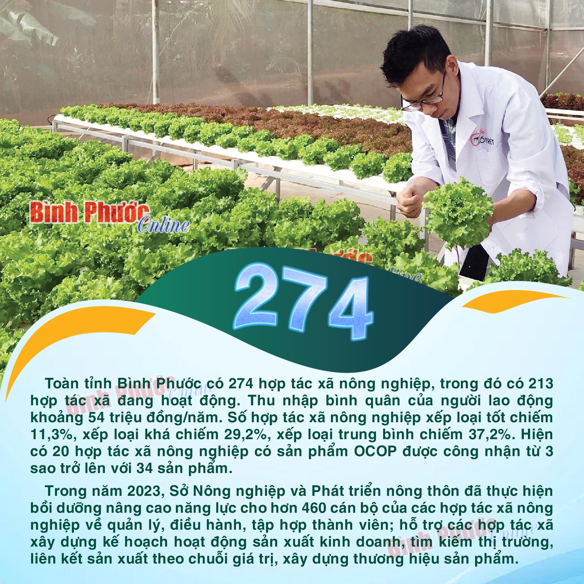 Toàn tỉnh Bình Phước có 274 hợp tác xã nông nghiệp