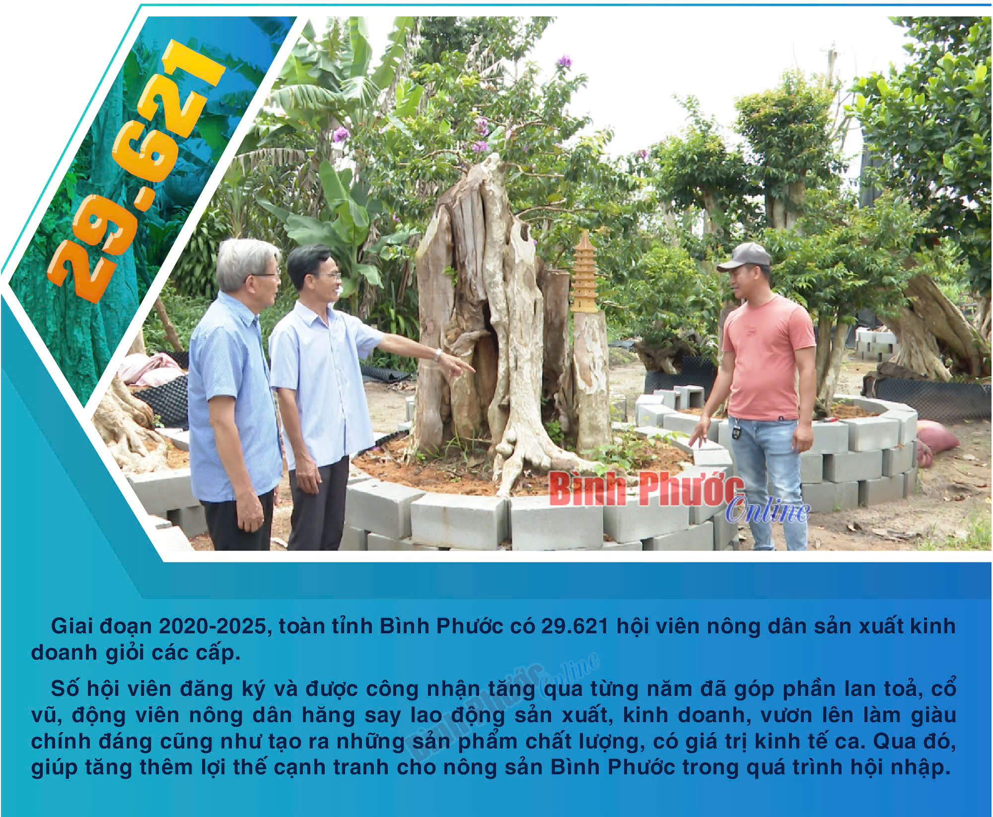 Bình Phước: Giai đoạn 2020-2025, Bình Phước có 29.621 hội viên nông dân sản xuất kinh doanh giỏi