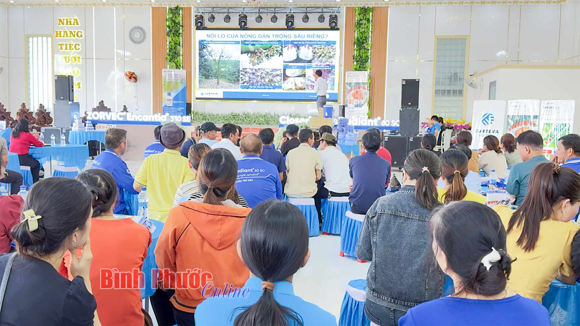 Corteva cùng nông dân bảo vệ sầu riêng