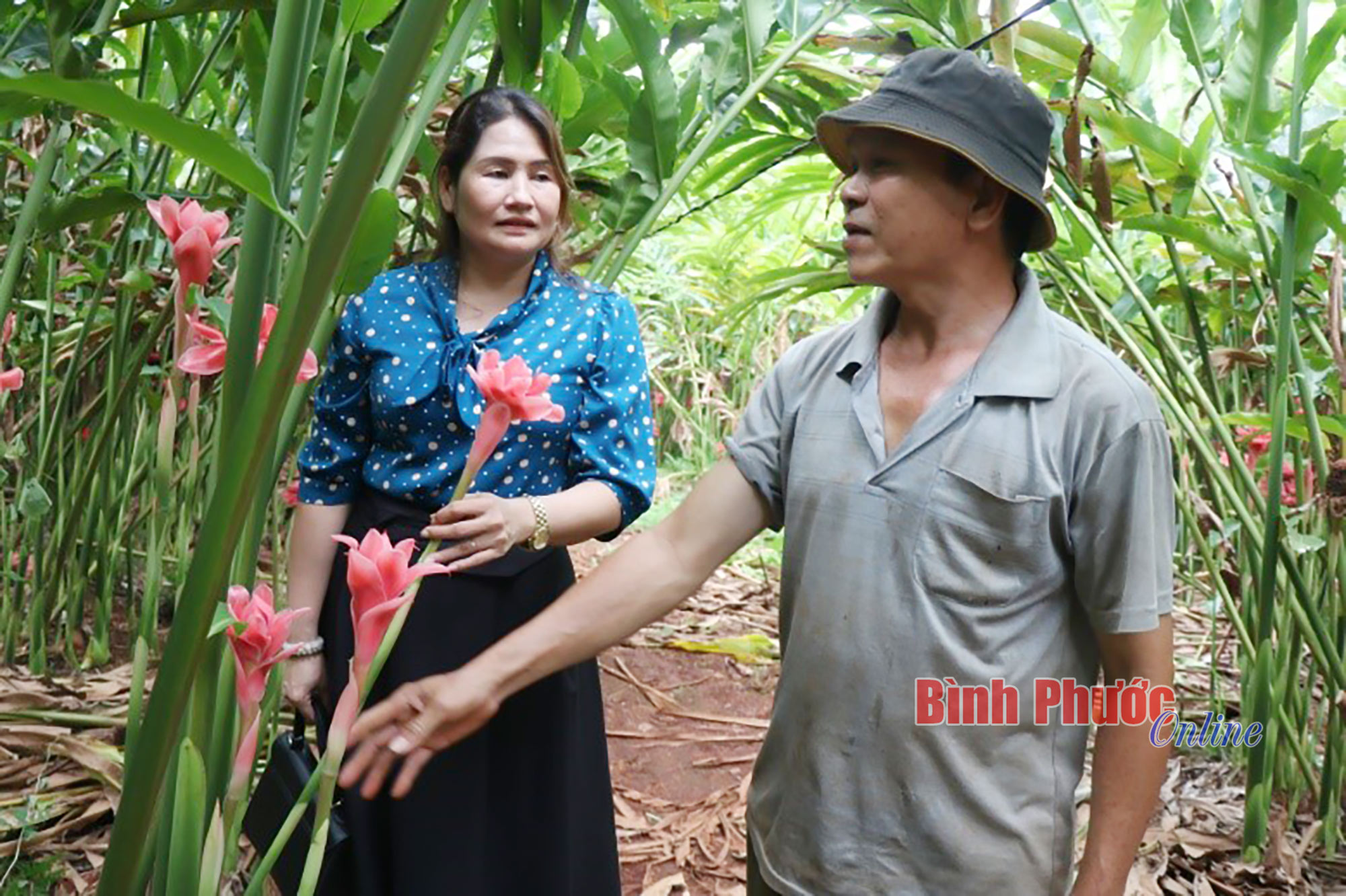 Hết lòng vì dân