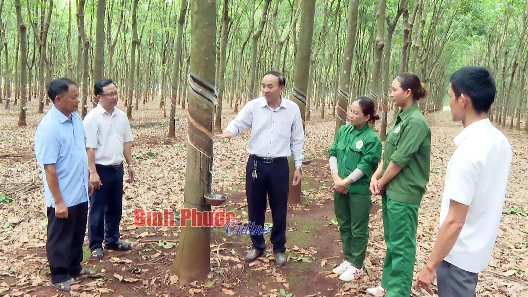 Học và làm theo Bác trở thành việc làm thường xuyên
