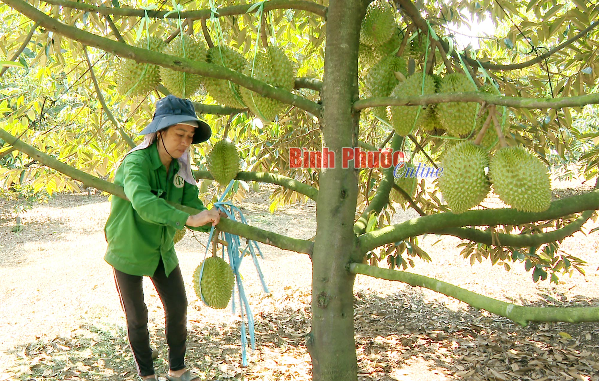 Lao động - sợi chỉ vàng nối dài giá trị sống