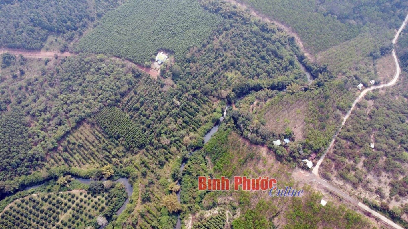 Nghiên cứu, rà soát kỹ phương án đầu tư đường kết nối Bình Phước - Đồng Nai qua cầu Mã Đà