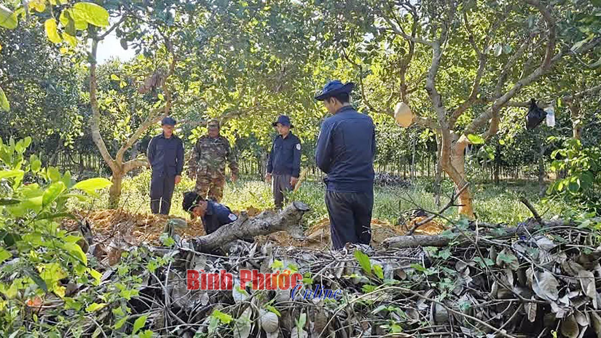 Những bước chân không mỏi