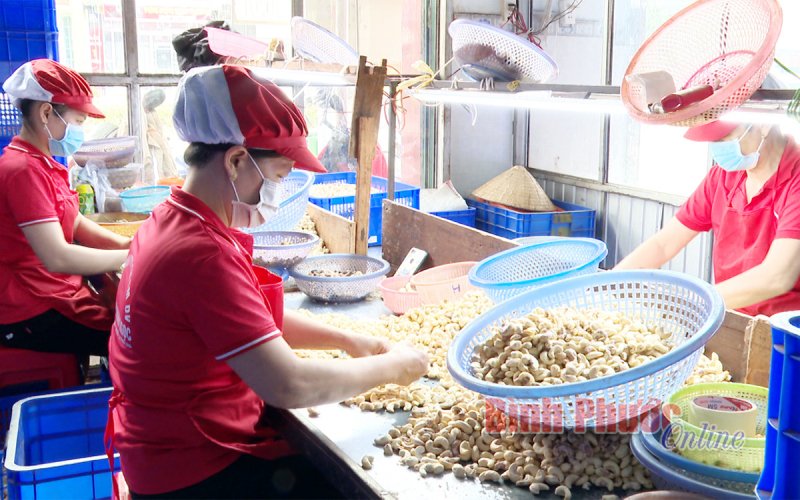 6 tháng, sản xuất công nghiệp của Bình Phước tăng 17,6%