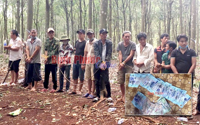 Bao vây, đánh úp sới bạc trong rừng sâu