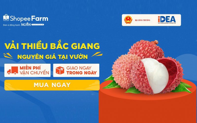 Các sàn thương mại điện tử chung tay tiêu thụ vải thiều Bắc Giang