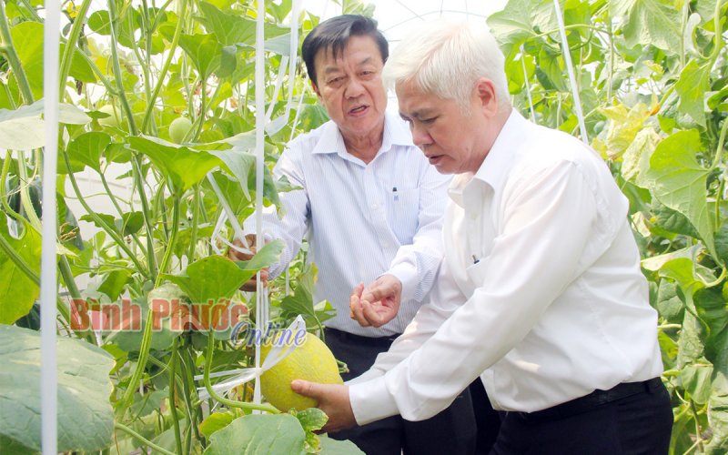 Chuyển đổi số trong nông nghiệp, nông thôn phải bắt đầu từ người nông dân