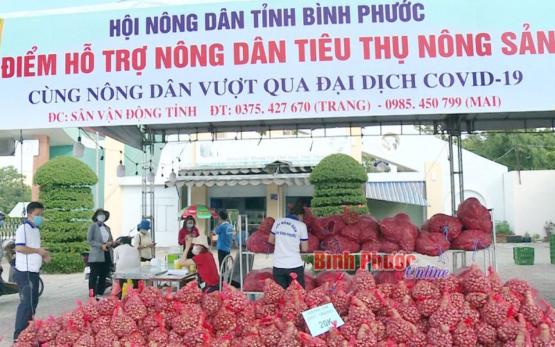 Hỗ trợ người dân tiêu thụ nông sản trong dịch Covid-19
