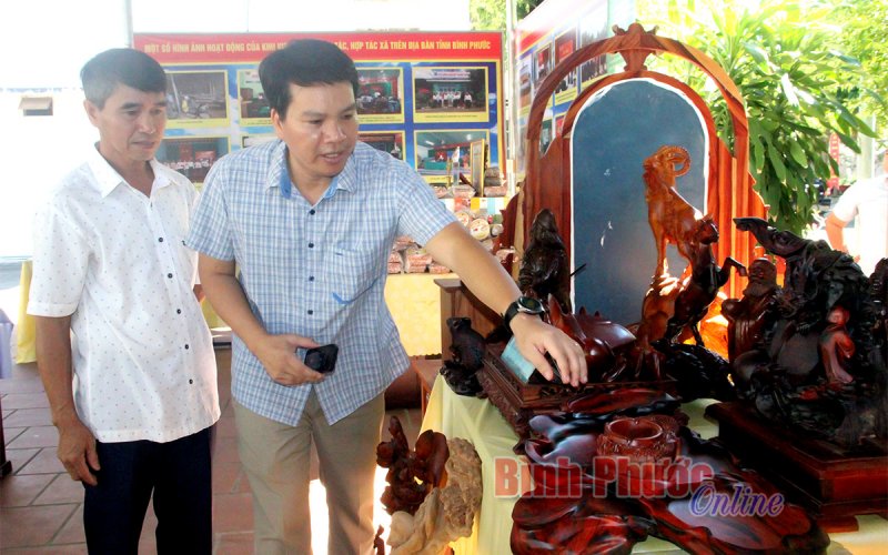 Hợp tác xã và bài toán nâng cao năng lực hoạt động - Bài cuối