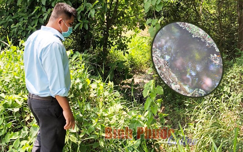 Nan giải bảo vệ tiêu chí môi trường