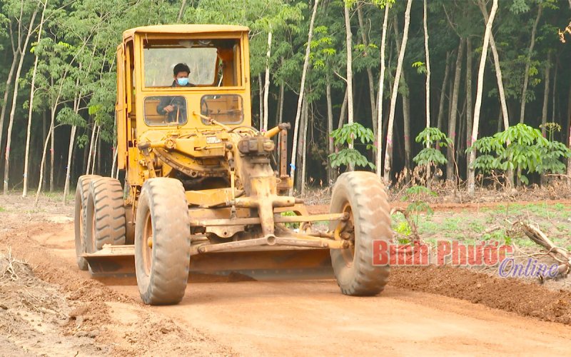 Tân Lập nỗ lực hướng đến đô thị loại V