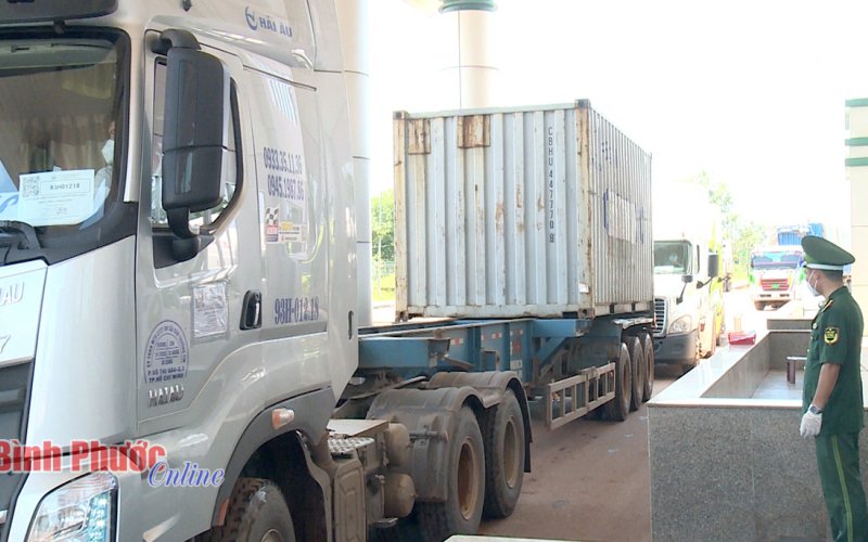 Bình Phước: 5 tháng, kim ngạch xuất khẩu tăng 5,2%