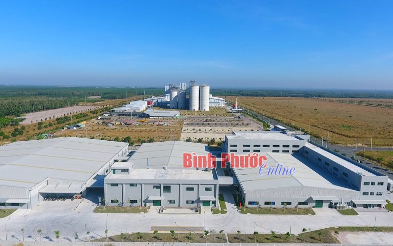 Kinh tế Bình Phước tăng trưởng đứng thứ 2 khu vực Đông Nam Bộ